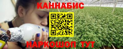 крисы Заводоуковск