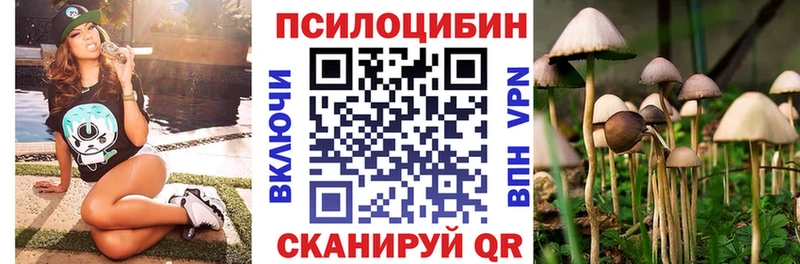Псилоцибиновые грибы MAGIC MUSHROOMS где можно купить Советск