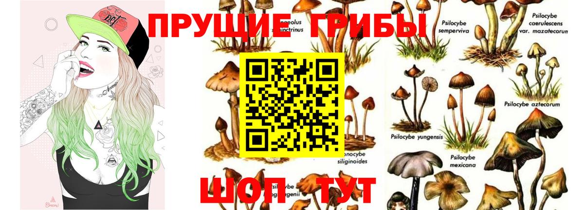 Галлюциногенные грибы Magic Shrooms  Вход с VPN  Советск 