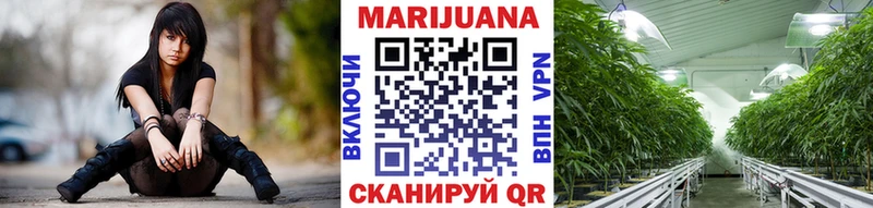 как найти наркотики  Советск  Канабис SATIVA & INDICA 